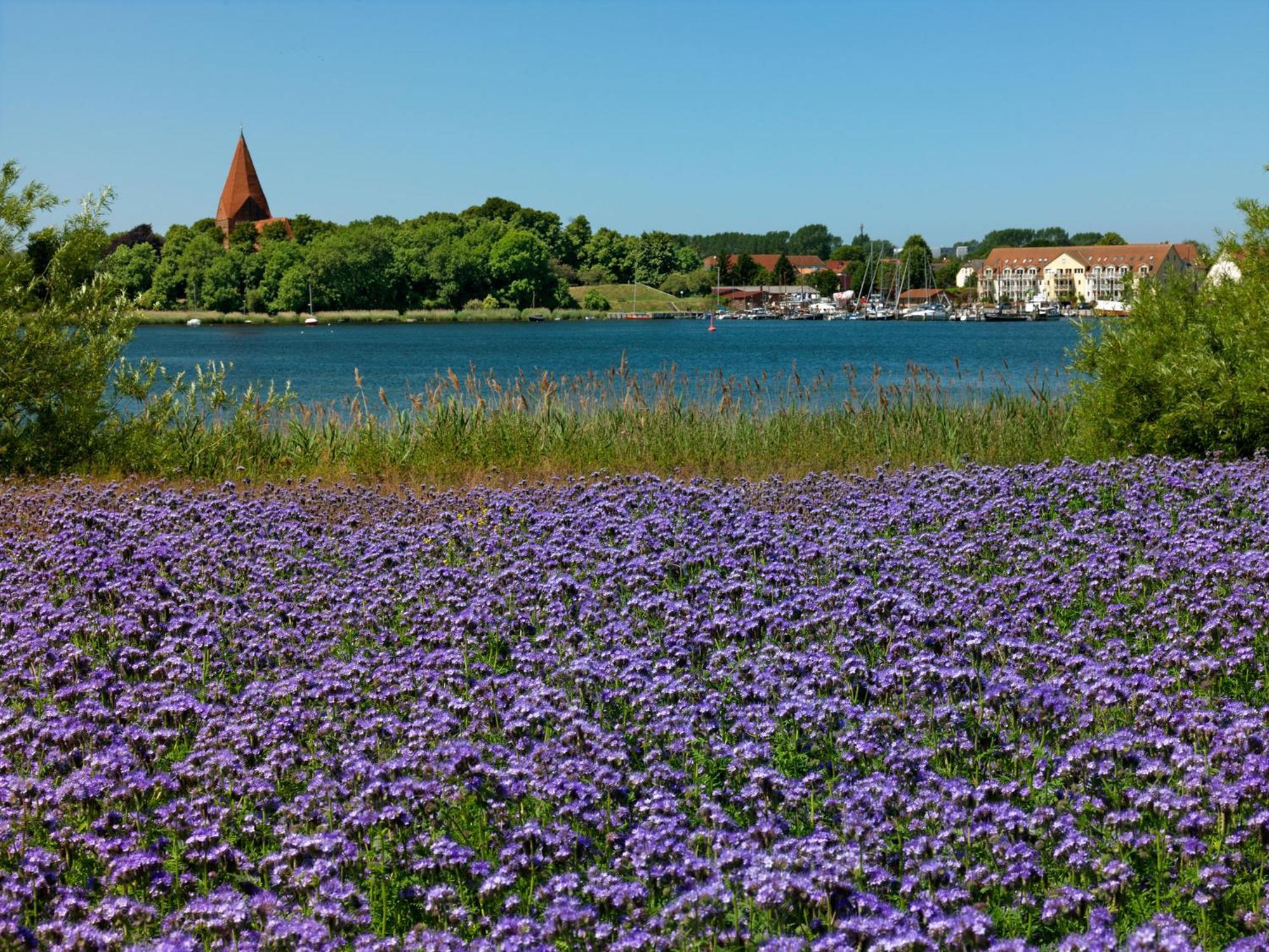 Hafenkieker Lägenhet Kirchdorf  Exteriör bild